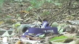 Squidgy shit in the woods