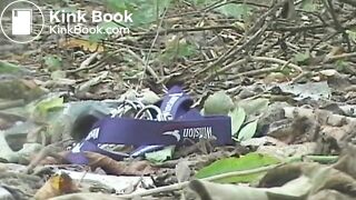 Squidgy shit in the woods