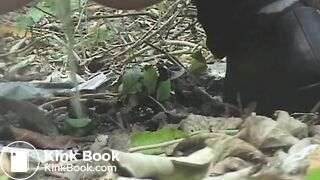 Squidgy shit in the woods