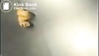 KV_VID (49)