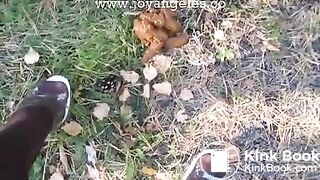 Caught by jogger when pooping