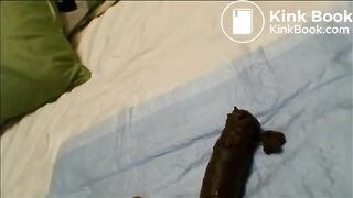 Big poop on the bed