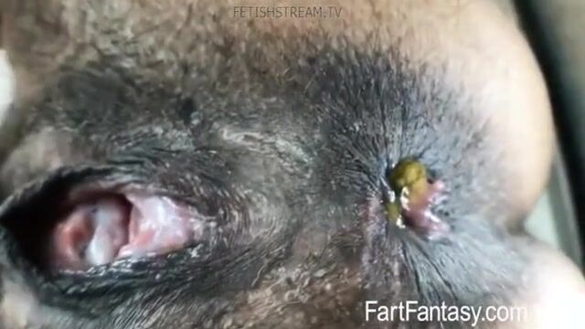 kitty catherine shits in fart chair