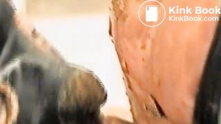 perverse-bisex-foursome1