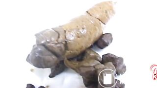 Shit on a plate and examine the shit 4