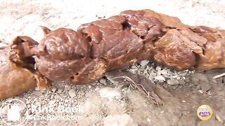 Let me take a selfie