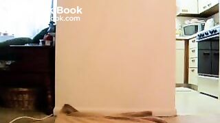 Webcam Scat