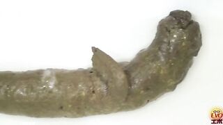 EE-063-1