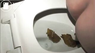 Huge toilet logs