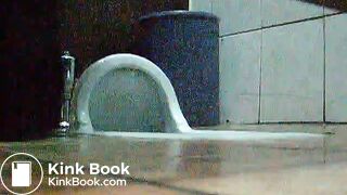 toliet25