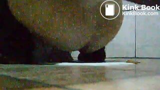 toliet25