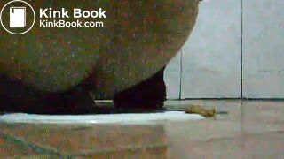 toliet25