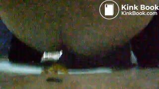 toliet25