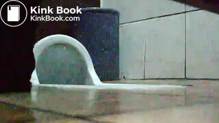 toliet25