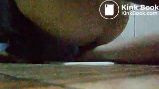 toliet25