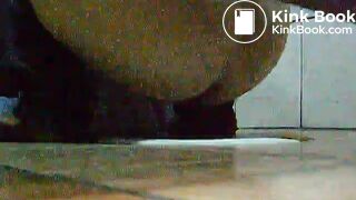 toliet25