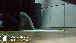 toliet25