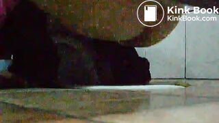 toliet25