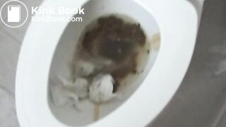 Joy Of Poop 1