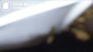 Sydnee Capri Shits Her Lacy