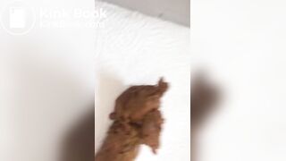 Milf scat new