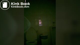 toliet1