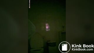 toliet1
