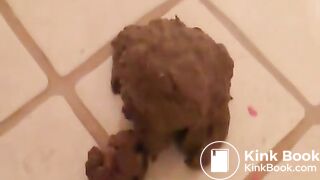 Pretty brunette pooping collection