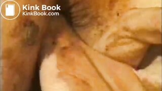 Scat slave eating shit from her ass