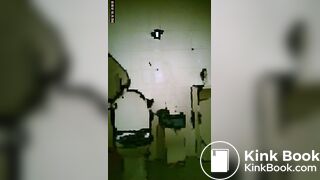 toliet2