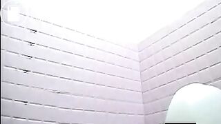 squat toilet 3