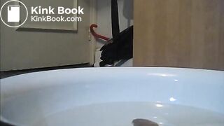 scat 2
