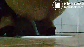 toliet24