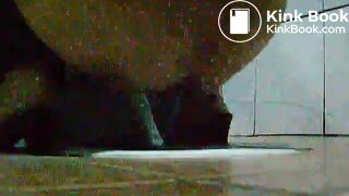 toliet24