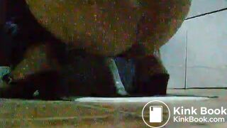 toliet24