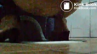 toliet24