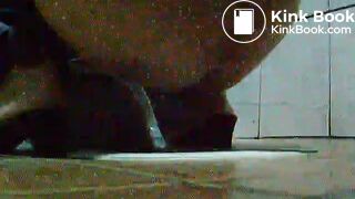 toliet24