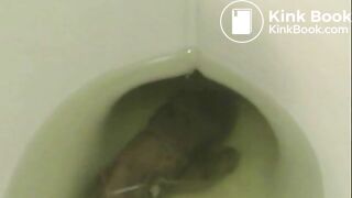 krystin - private toilet adventures