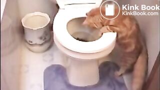 Nina_G