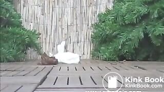 Women Pooping 2