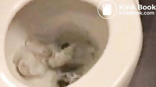 Shitting2