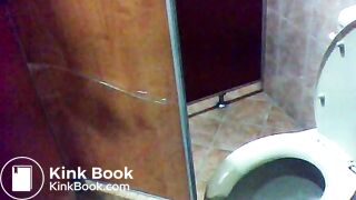 toliet14