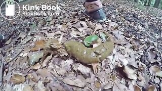 In forest