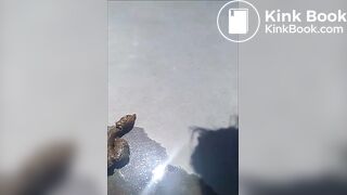 JA - Victoria Lavigne_comp03