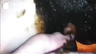 Amateur Scat 3