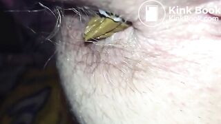 HOT NASTY TURD