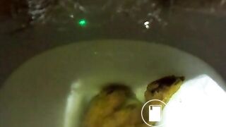 SLUT SHIT IN TOILET