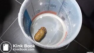 Hard turd
