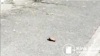 Blonde mature shitting in public