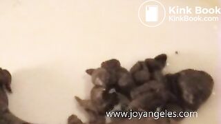 pooping up close